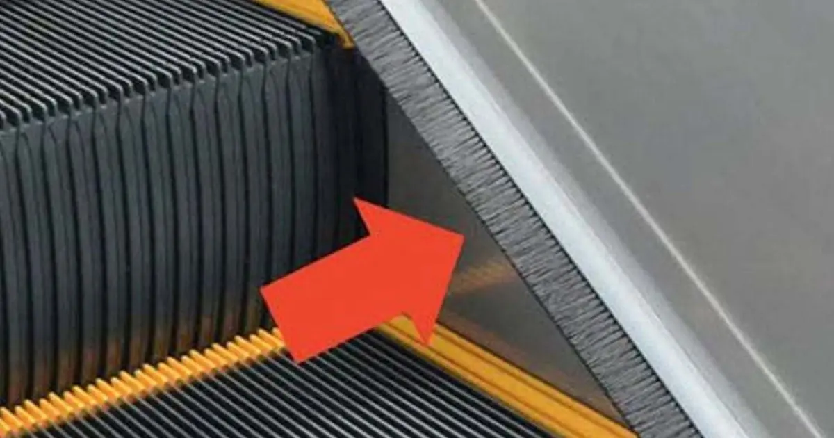 Those Brushes on Escalators Aren’t for Cleaning - Here’s What They’re Really For
