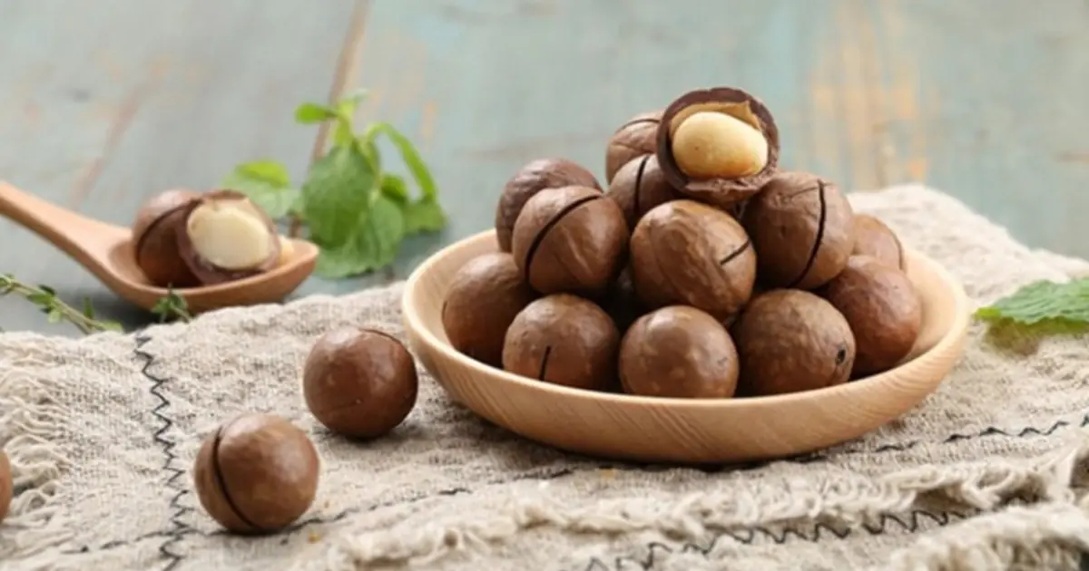 Doctors Reveal What Eating Macadamia Nuts May Do for Your Body