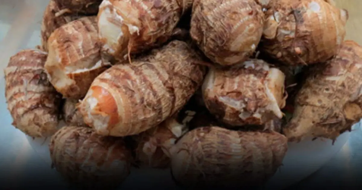 A village with almost no cancer cases—thanks to a root vegetable that’s cheap and eaten daily