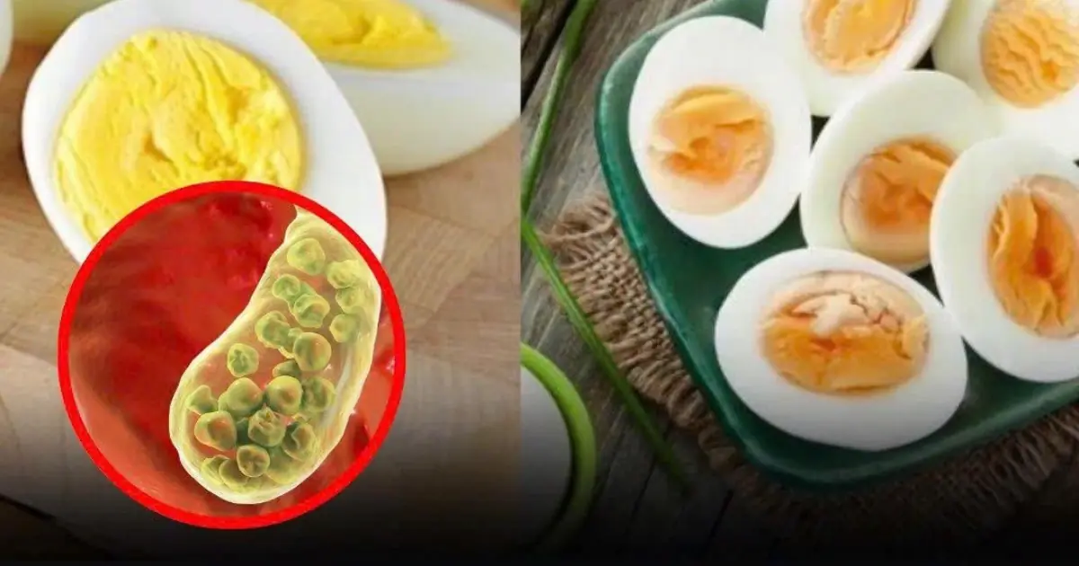 Eating Chicken Eggs Can Be Harmful for These 5 Groups of People — Here’s Why