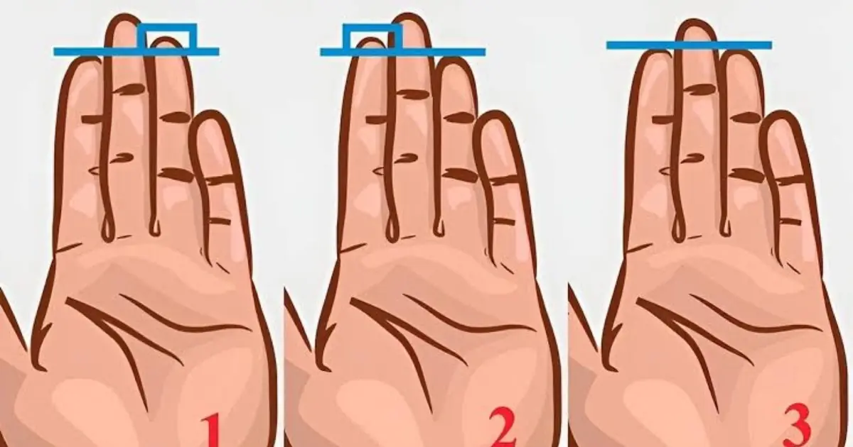 Your Index Finger Could Offer Clues About Your Personality