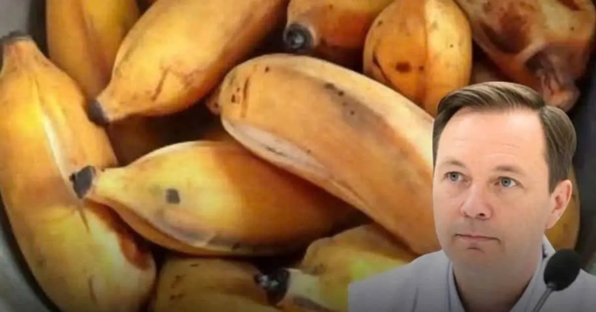 Doctors Reveal: What May Happen If You Eat Bananas Every Day After 60