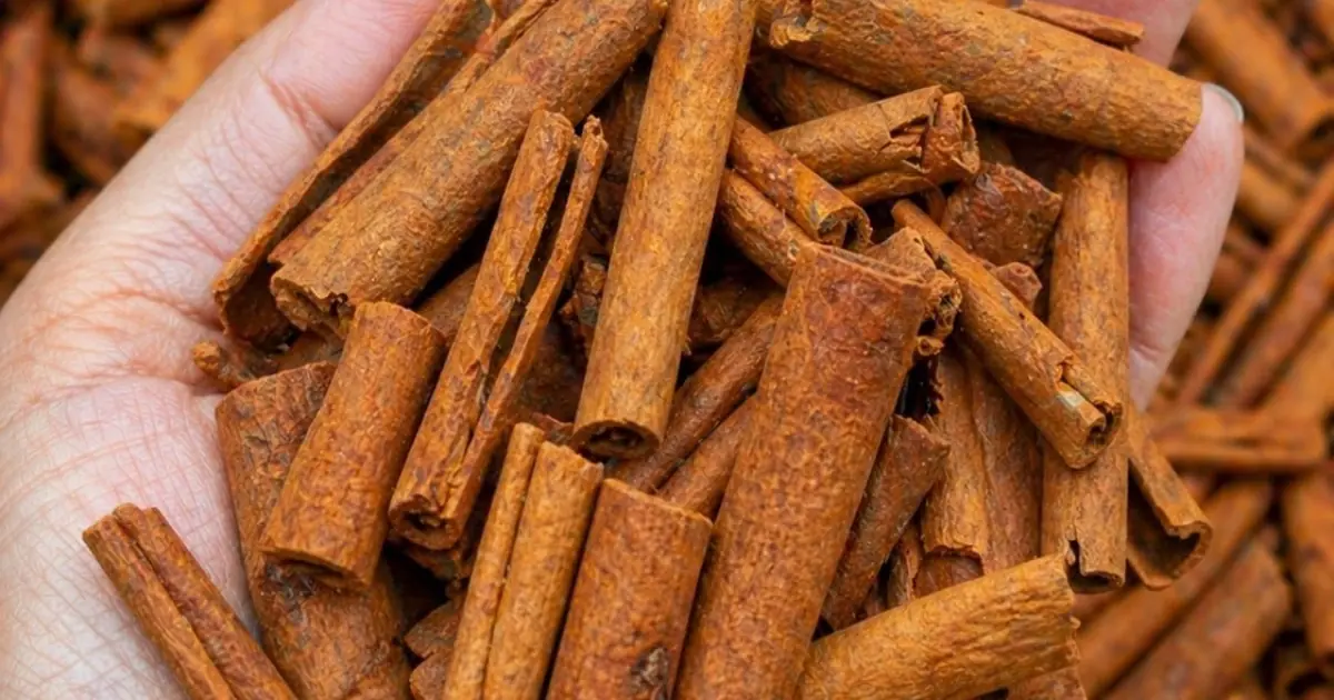 Doctors reveal eating cinnamon causes... see more 👇
