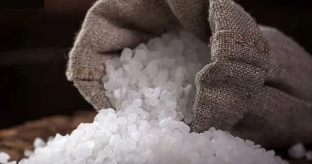 This One Superfood Could Tackle Major Health Issues—Here’s What You Need To Know