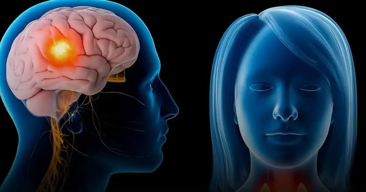 Head and Neck Canc3r: Risk Factors, Symptoms, and Prevention Tips