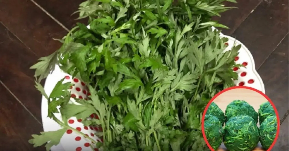Once Overlooked as a Poor Man's Vegetable, This Leafy Green Is Now Celebrated for Its Remarkable Nutritional Value...