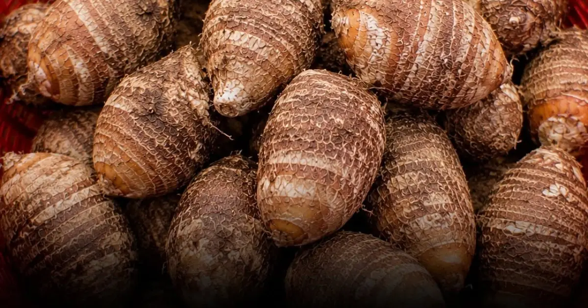 Scientists Were Surprised by the One Root Vegetable Everyone in This Village Eats Daily