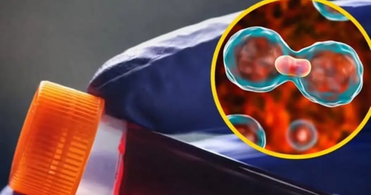 Understanding the Link Between Your Blood Type and Health