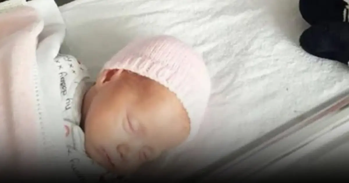 That Purple Butterfly Sticker Near a Newborn Has a Powerful Meaning - Here’s What to Know