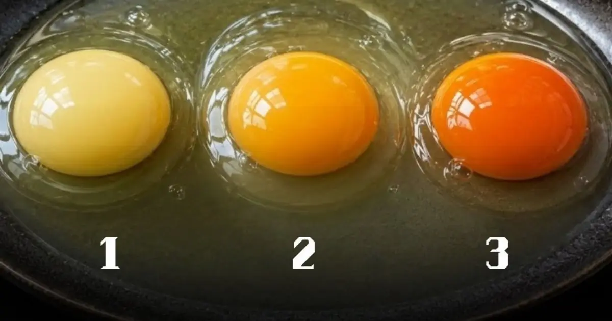 Which Egg Comes From a Healthy Chicken? The Truth Behind Yolk Colors