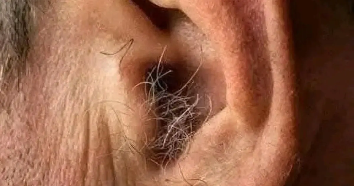 DID YOU KNOW THAT? If hair grows on your ears, it’s because your body…