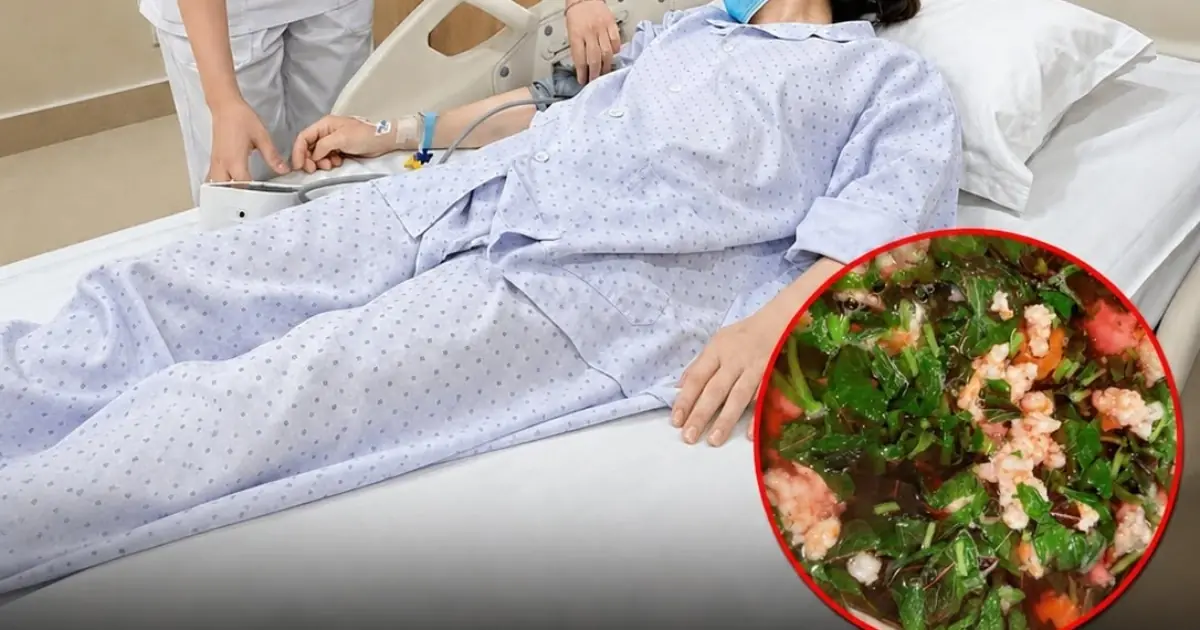 She Ate This Popular Leaf Every Day — What Doctors Found Months Later Was Unexpected