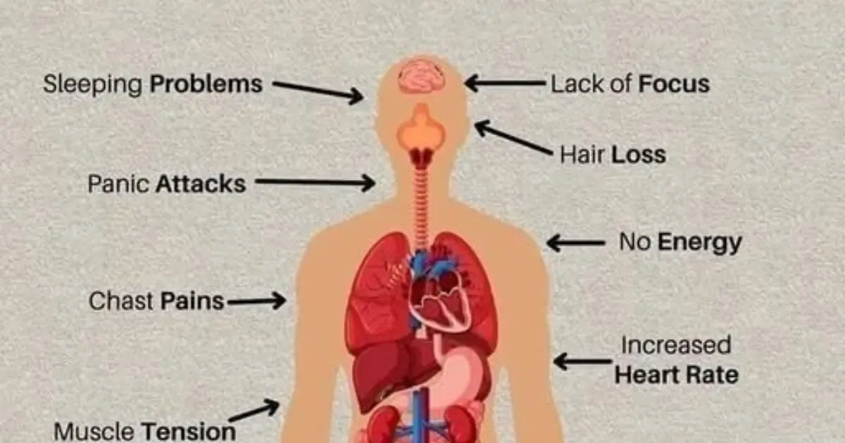 What Stress Can Do to Your Body and Mental Health?