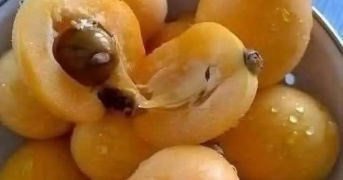 I've spent my whole life searching for the name of this fruit. Does anyone know? 👇