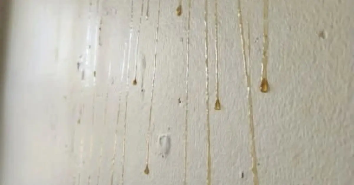 Yellow Stuff Starts Dripping Down Your Bathroom Walls? Here’s What It Might Be