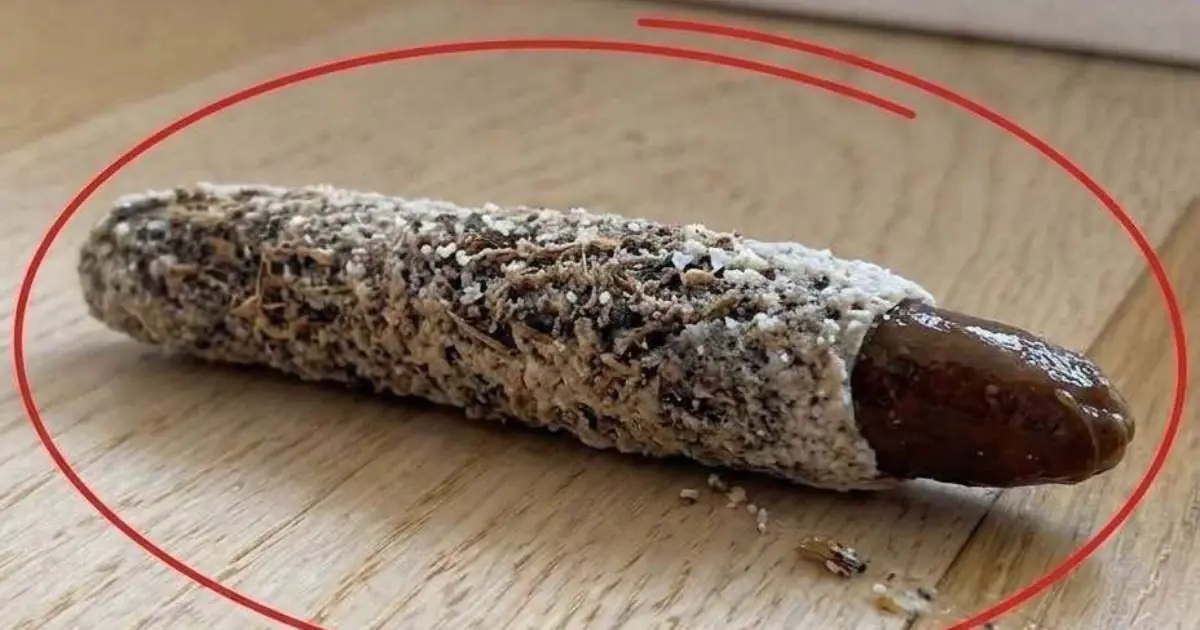 What do you think it is?