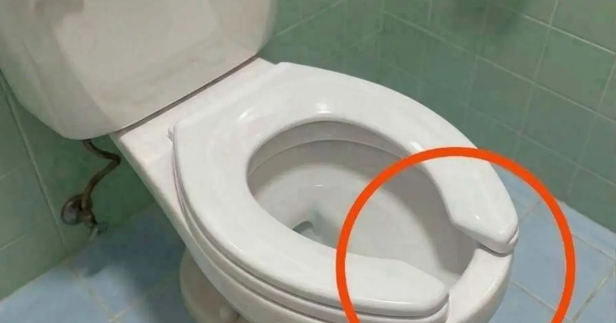 The Toilet Seat Detail Most People Never Notice—And Why That Gap Exists