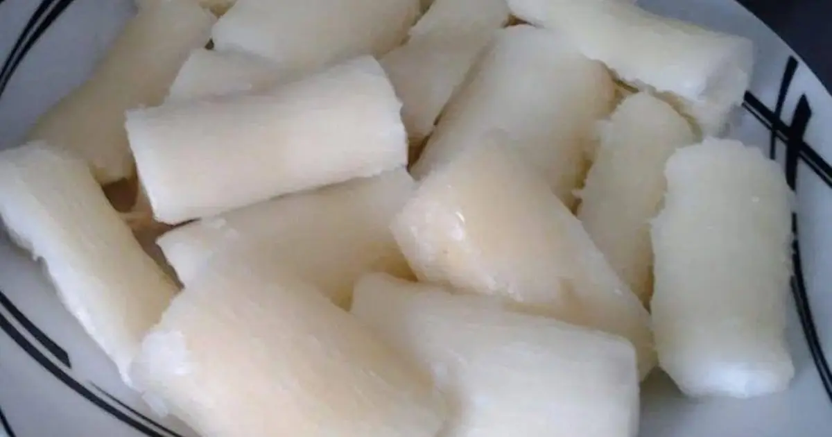 To.xic if improperly prepared: another side of a widely consumed food worldwide