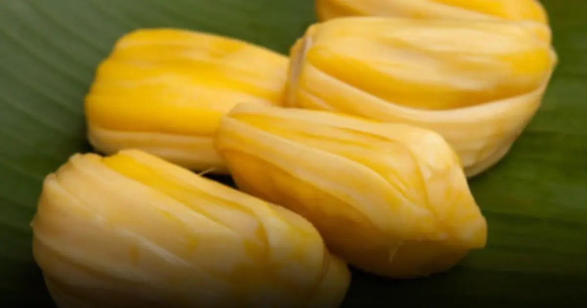 You May Want to Avoid Jackfruit If You Fall Into One of These 5 Categories