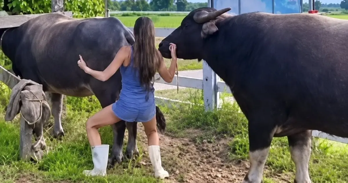 She Returned to the Place She Had Avoided for Years But One Small Discovery Changed Everything