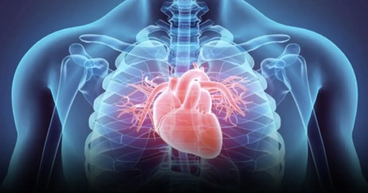 Diseases that can cause sudden de.a.th