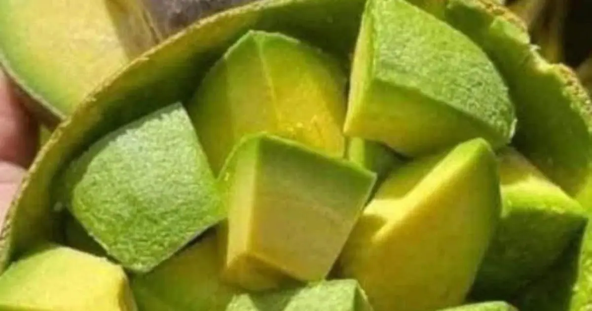 Doctors reveal that eating avocados causes… see more