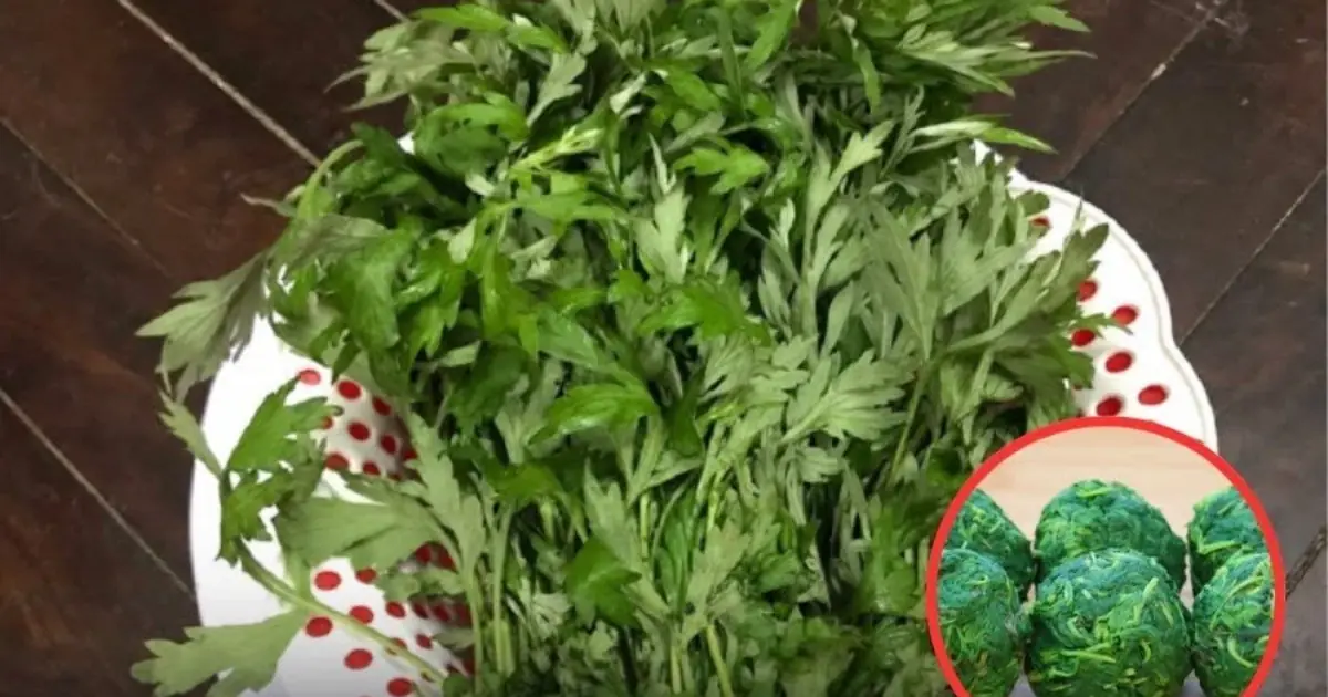 Once Overlooked as a Poor Man's Vegetable, This Leafy Green Is Now Celebrated for Its Remarkable Nutritional Value...