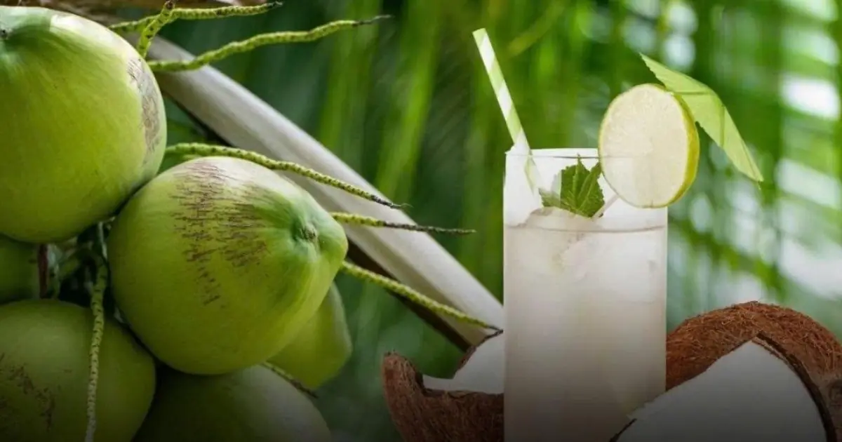 Unexpected Things That May Happen to Your Body When You Drink Coconut Water Regularly