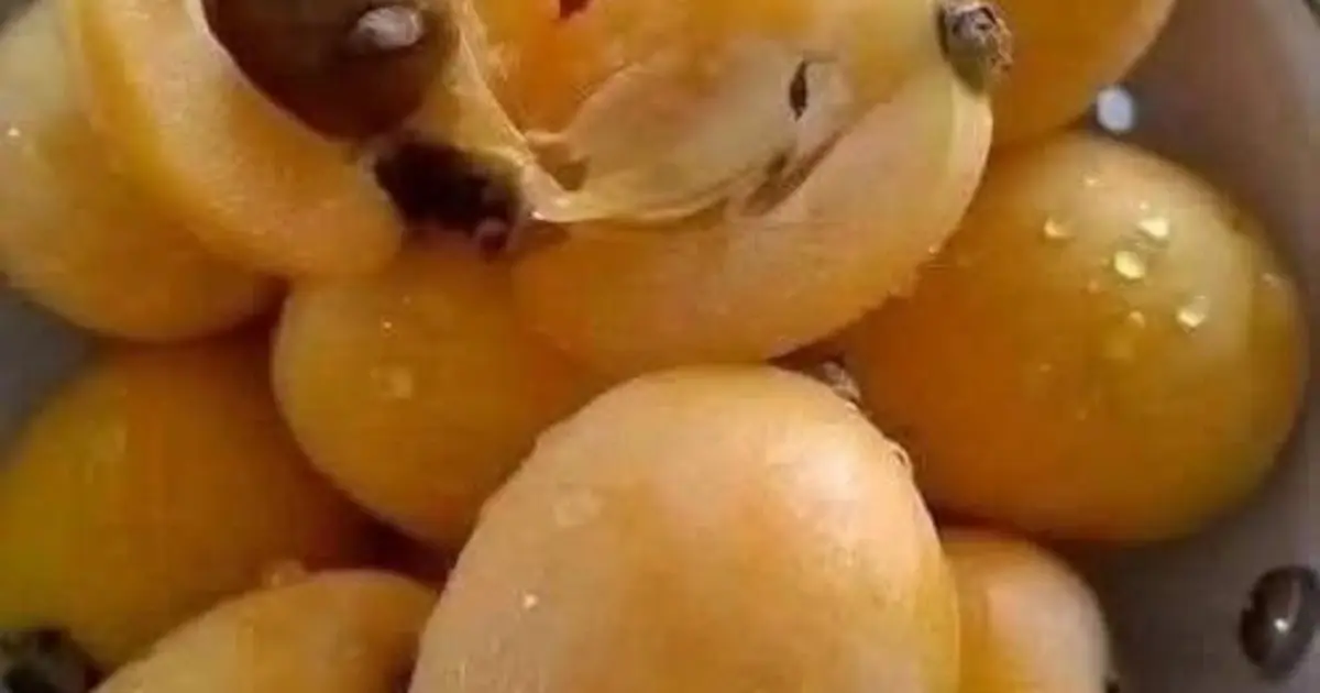 I've spent my whole life searching for the name of this fruit. Does anyone know?