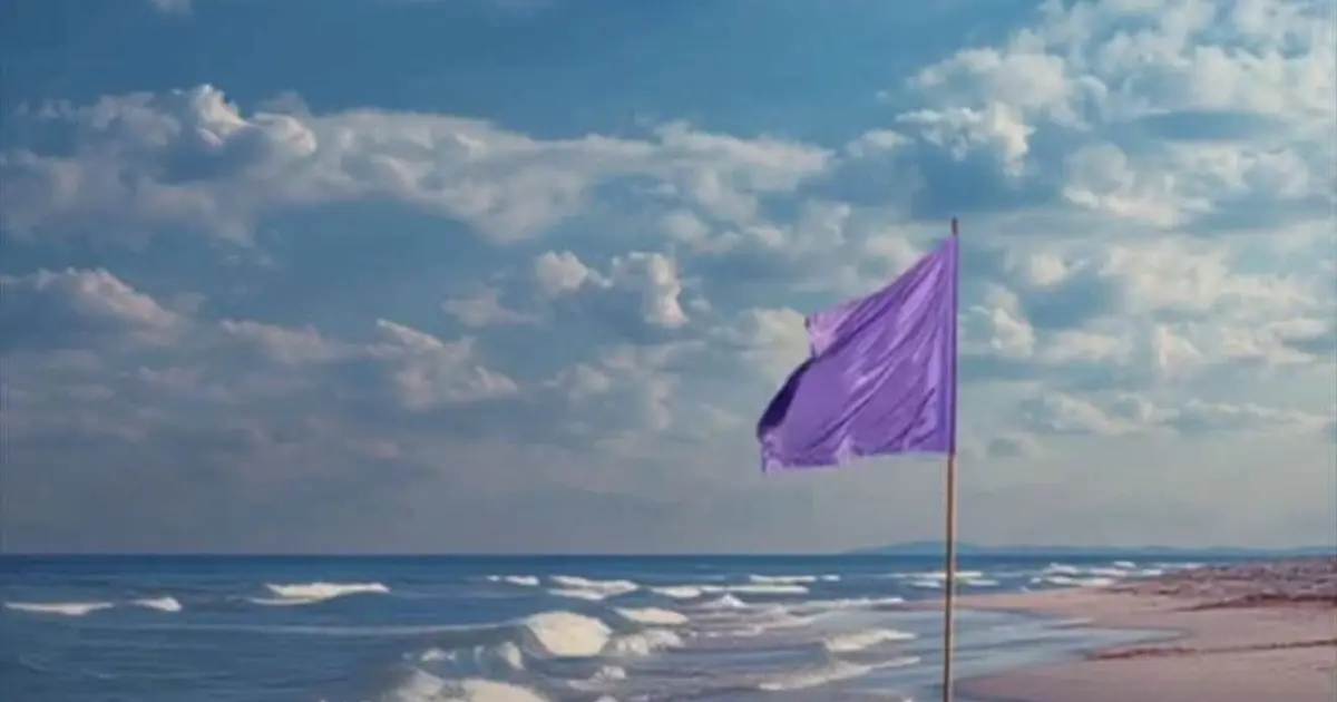Beach Flags Explained: What You Need to Know Before Swimming in the Ocean