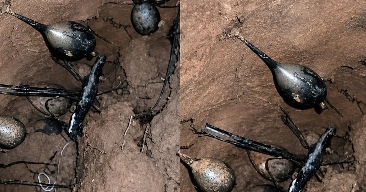 I Was Digging in the Forest When I Found Something Strange… My Friends Told Me to Step Away Immediately