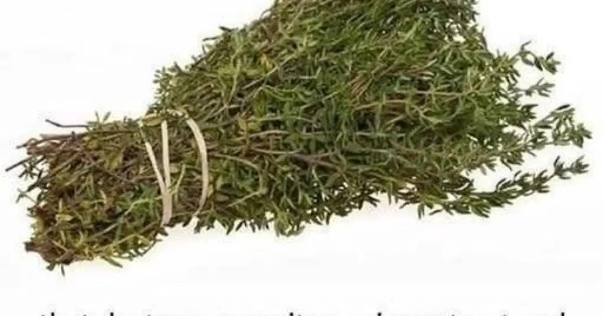 THE MOST POTENT HERB THAT DESTROYS PARASITES, URINARY TRACT …