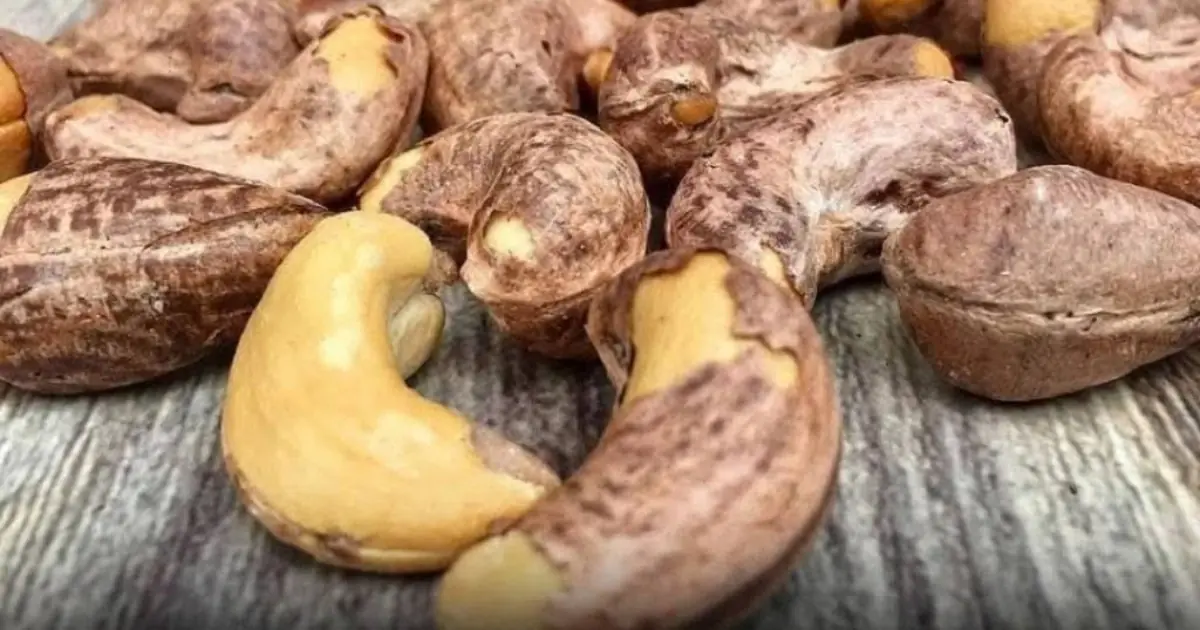 Doctors reveal that eating cashews causes ...See more 👇