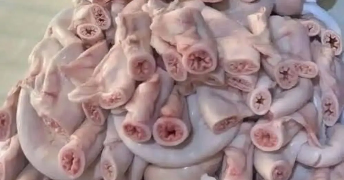 Don’t be fooled by supermarkets. They are selling you meat from… Read more