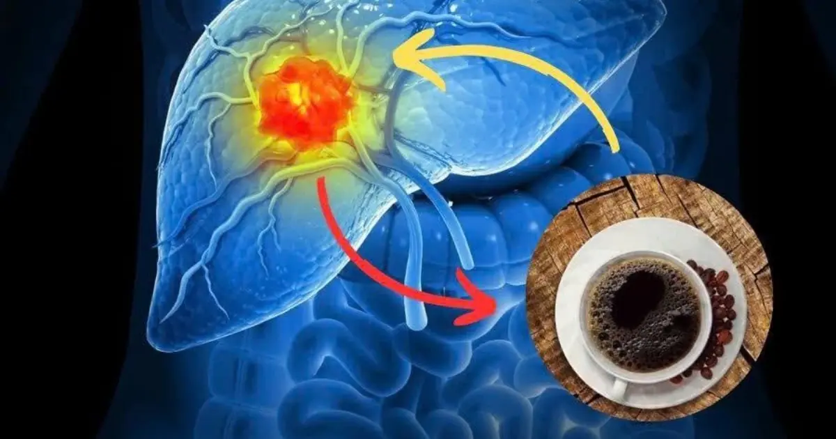 Coffee causes liver can.cer? Scientists say the truth is the exact opposite…