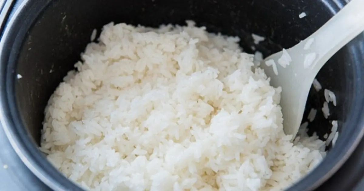 Why Experts Warn Against Improperly Storing and Reheating Leftover Rice