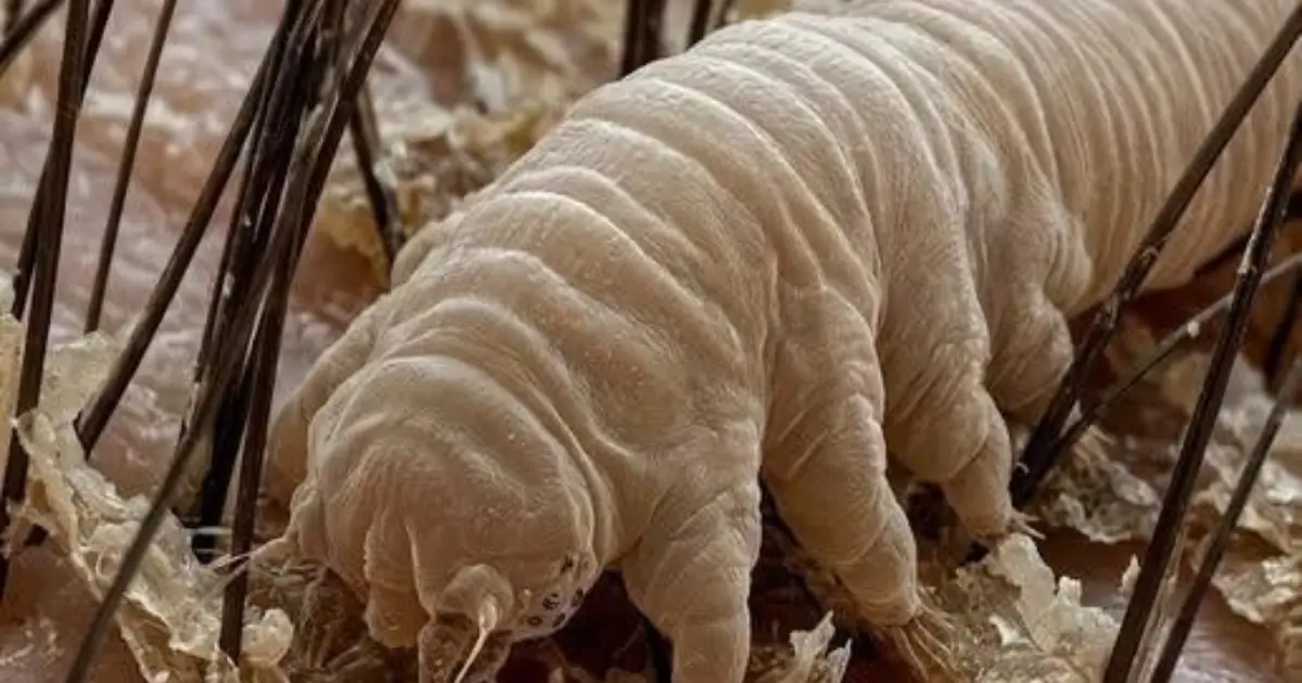 Here are the consequences of sleeping with… See more