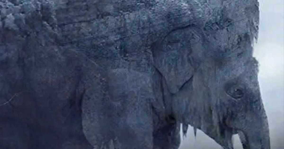 Snake or Elephant? Your Answer Might Surprise You