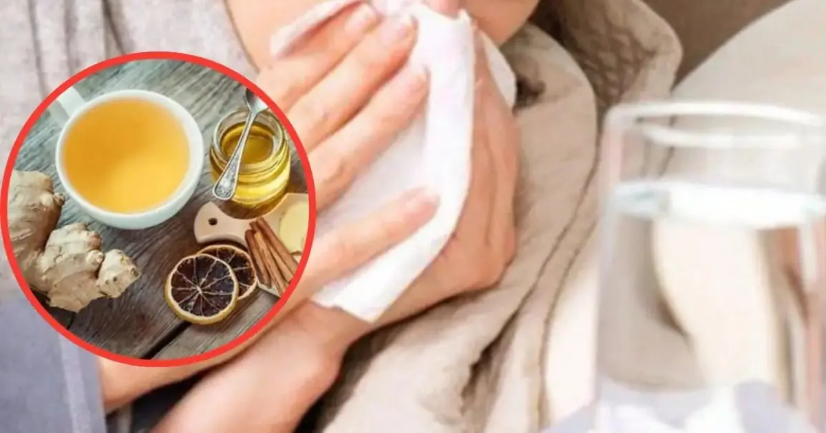6 Foods That May Help Ease Cold and Flu Symptoms During the Winter Season