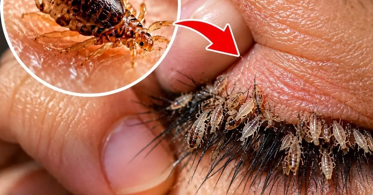 These are the consequences of sleeping with a… See more