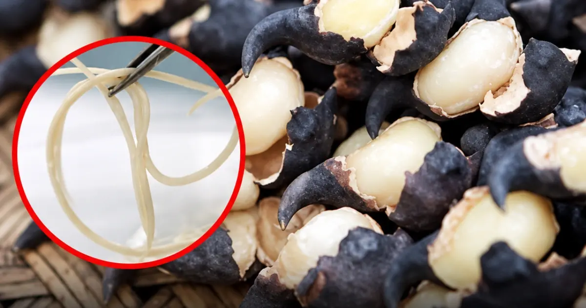 5 vegetables you should never eat raw