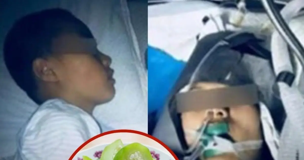 Family Falls Seriously Ill After Eating Bottle Gourd: The Hidden Danger of Extreme Bitterness