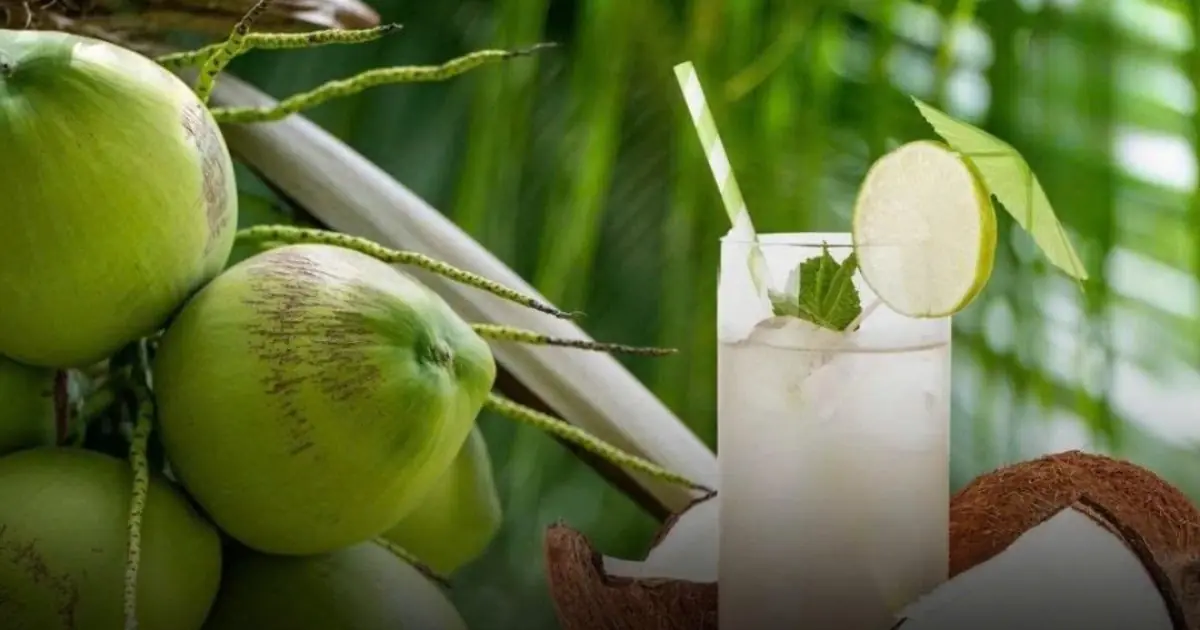 Drinking coconut water continuously will surprise you with the benefits it brings