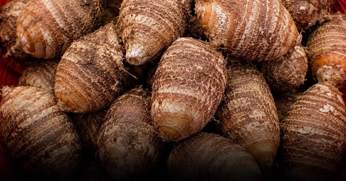 Scientists Were Surprised by the One Root Vegetable Everyone in This Village Eats Daily