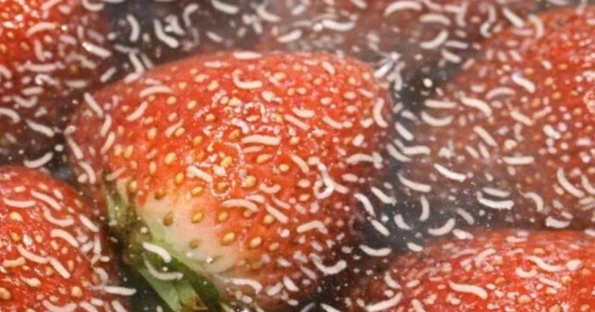 White Worm-Like Things Coming Out of Strawberries After Salt Water: Should You Throw Them Away?