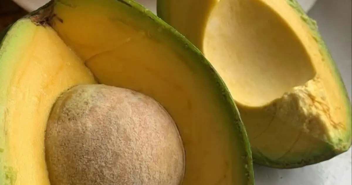 Doctors reveal that eating avocados causes… See more