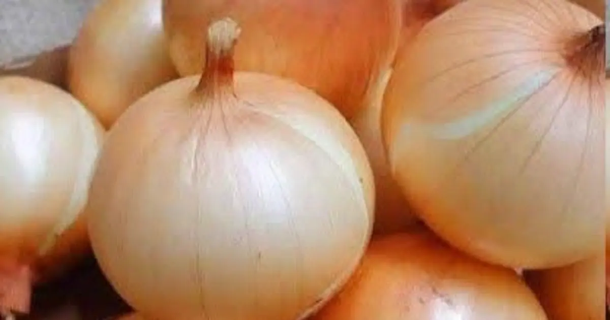 Doctors reveal eating onions causes... See more 👇