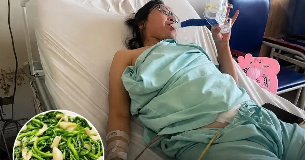 Doctor Says “This Vegetable Is Pois.onous… You Shouldn’t Eat It” 👇👇👇.
