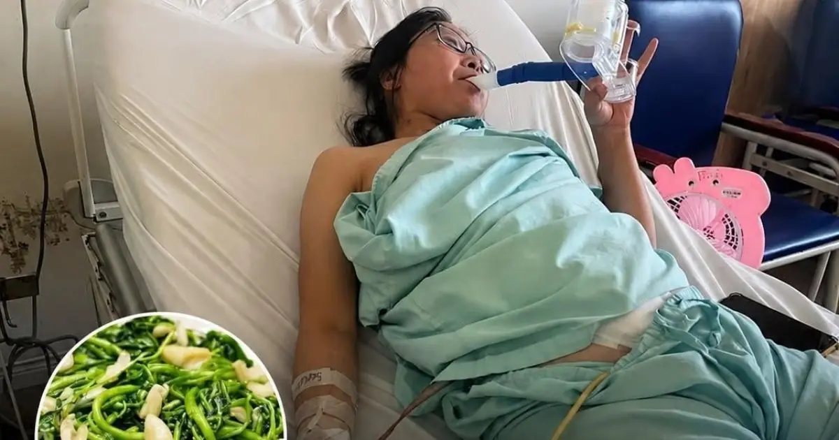 Doctor Says “This Vegetable Is Pois.onous… You Shouldn’t Eat It”