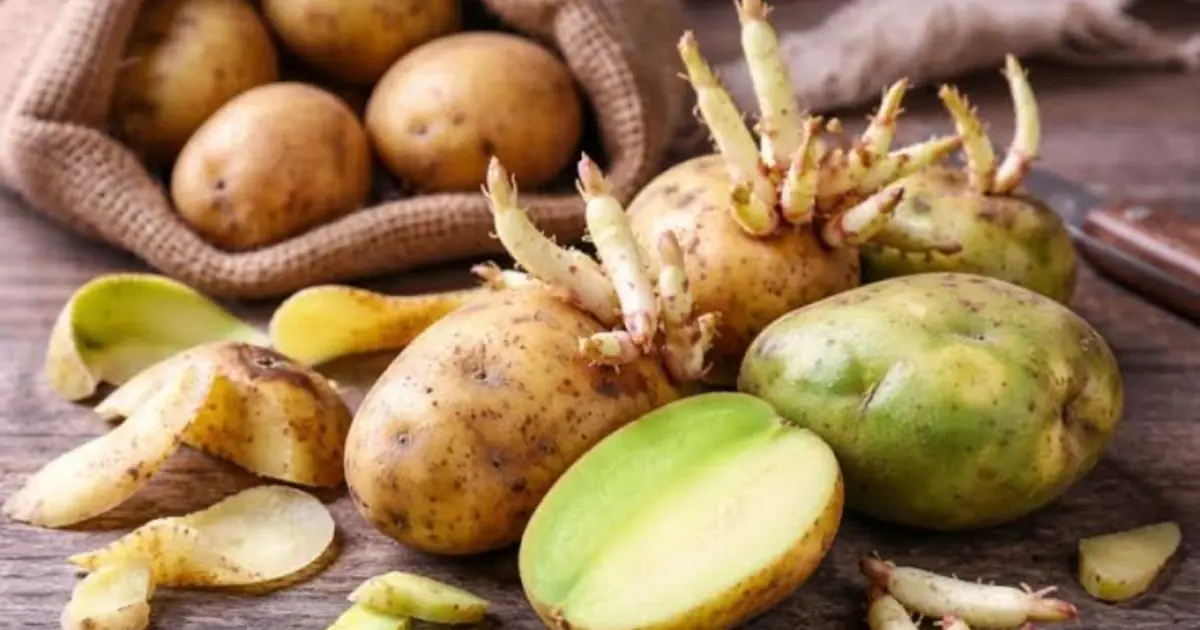 Are These Vegetables Safe? Foods Commonly Discussed in Can.cer Risk Warnings